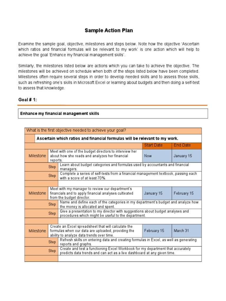 Finance Department Action Plan Example | PDF | Finance & Money Management
