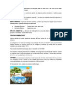 Medio Ambiente: El "Ecosistema" Es La Unidad de Estudio de La Ecología