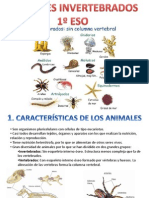 animalesinvertebrados1eso-131117150335-phpapp01