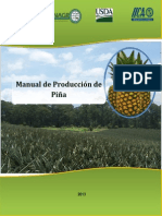 Manual de Produccion de Pina
