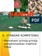 JAMUR