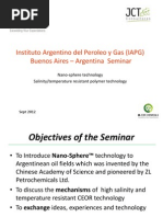 Instituto Argentino Del Peroleo y Gas (IAPG) Buenos Aires - Argentina Seminar