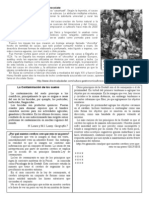 textos expositivos