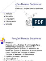 Funcoes Mentais Superiores