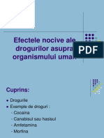 Efectele Nocive Ale Drogurilor Asupra Organismului Uman