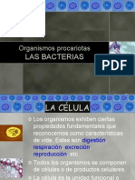 Bacterias 1