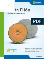 Anasac Melon Piton