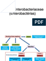 aula_enterobacteriaceae.pdf