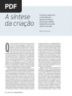 A Sintese Da Criação
