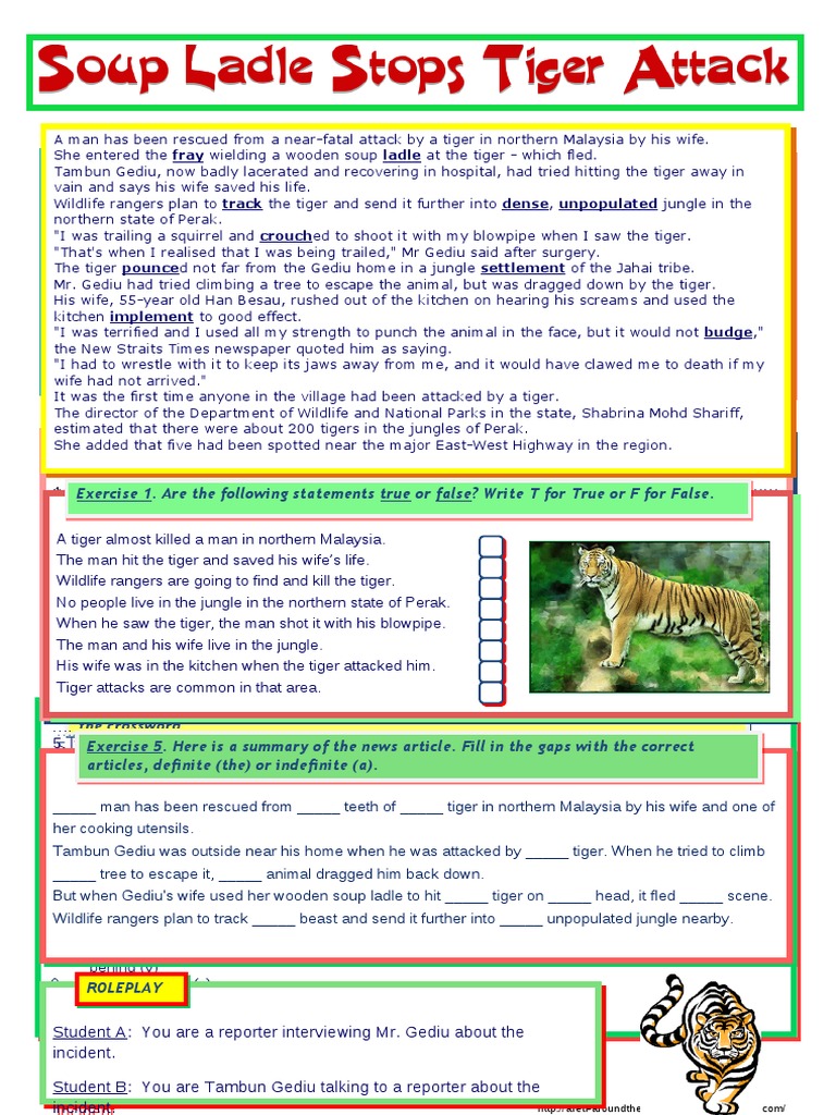 Passive Voice Reading Comprehension Text With Answers | Violence | Leisure