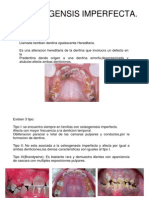 dentinogenesis1