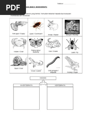 Latihan Pengelasan Haiwan Pdf