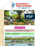 Clase N° 2, ECOSISTEMA y MEDIO AMBIENTE Industria - copia(FILEminimizer)