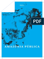 Amazonia Publica Pt