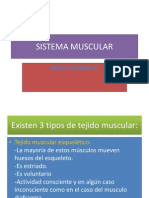 sistemamuscular-140218225905-phpapp02
