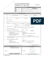 Formato IMSS