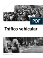 Trafico 6