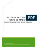 Modelos Matemáticos de Tratamento Térmico de Madeiras