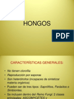 HONGOS