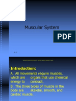 20111019121020lecture 5_ Muscular System