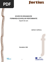 echipa in organizatii.pdf