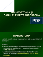 Traheostomi