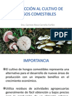 Introducción Al Cultivo de Hongos Comestibles