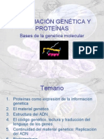 Genética molecular