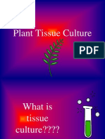 Plant Tissue Culture Techniques