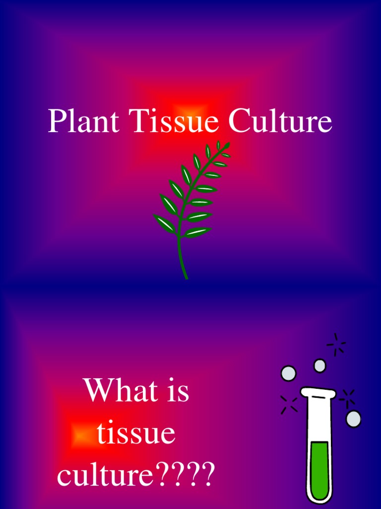 Tissue Culture PDF