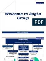 BagLa Group Overview: Electrical, Auto, and Fastener Manufacturing