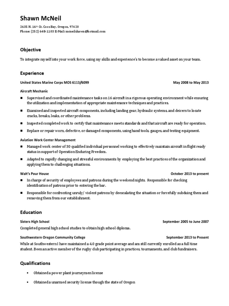 Shawn McNeil: Aircraft Mechanic & Security Expert | PDF | Career ...