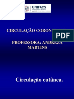 Circulações Especiais Andreza