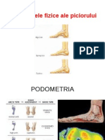 Deficienţele Fizice Ale Piciorului - Seminar 7