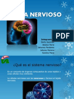 Sistema Nervioso Exposicion