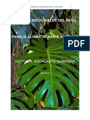 Alismataceas Y Araceas Medicinales Del Peru 1 Plantas Botanica