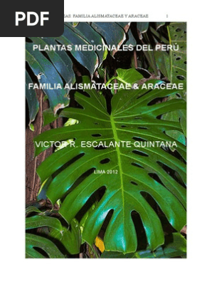 Alismataceas Y Araceas Medicinales Del Peru 1 Plantas Botanica