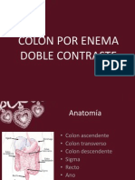 Colon Por Enema1