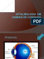 Oftalmologia em Pequenos Animais