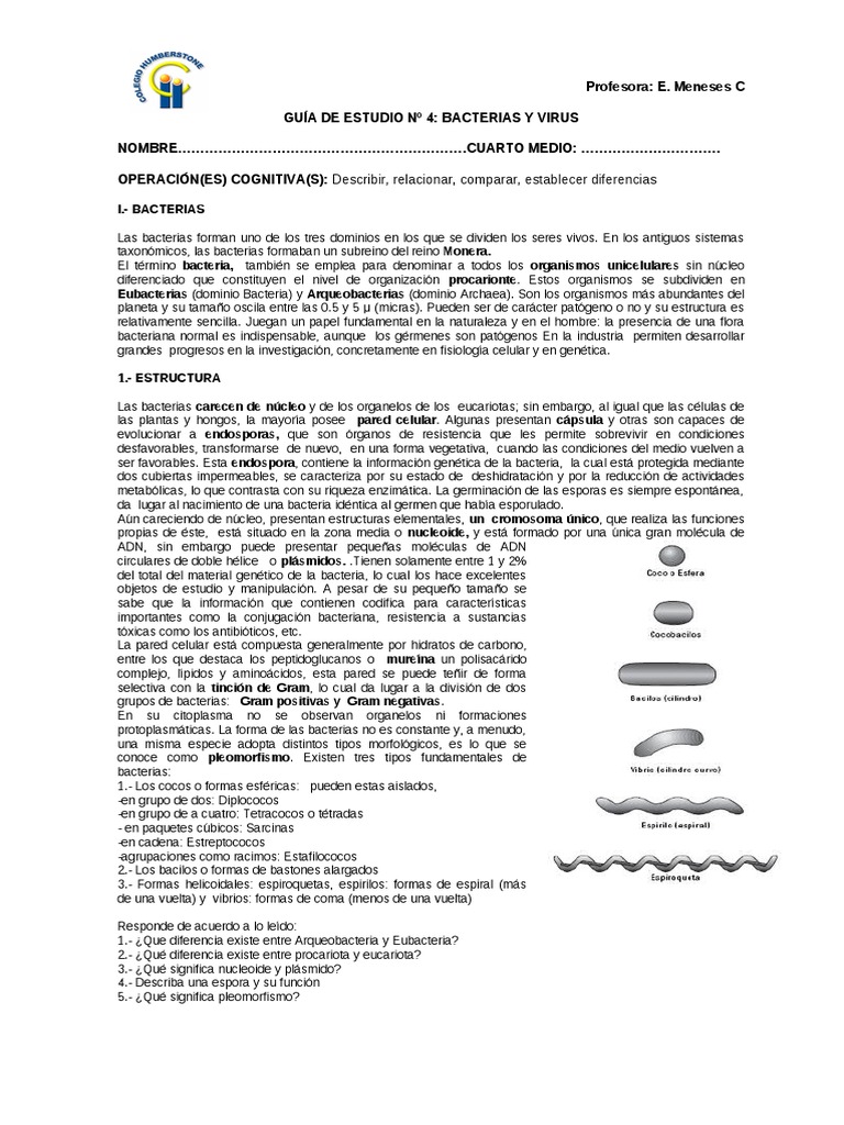 Guía de Estudio: Bacterias y Virus | PDF | Virus | Las bacterias
