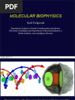 Fundamental Molecular Biology Allison 2nd Edition Free Download