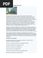 A Revelação Na Teologia Reformada