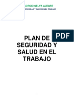 75949784 Plan de Seguridad y Salud Consorcio Selva Alegre (1)