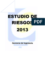 Estudio de Riesgos 2013