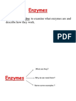 Enzymes Explained: How They Work and Their Importance