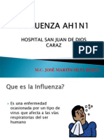 Influenza Final