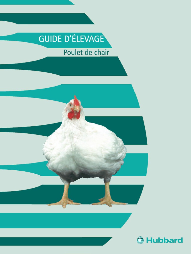 Guide Poulet de Chair Francais