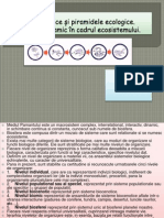Relațiile Trofice Și Piramidele Ecologice. Vacarciuc Anastasia