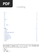 Download Java Looping by Skyland HaCKeR SN22400719 doc pdf