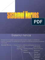 Sist.nervos1